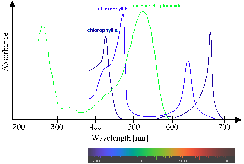 The Future of Smart Agriculture and Spectroscopy
