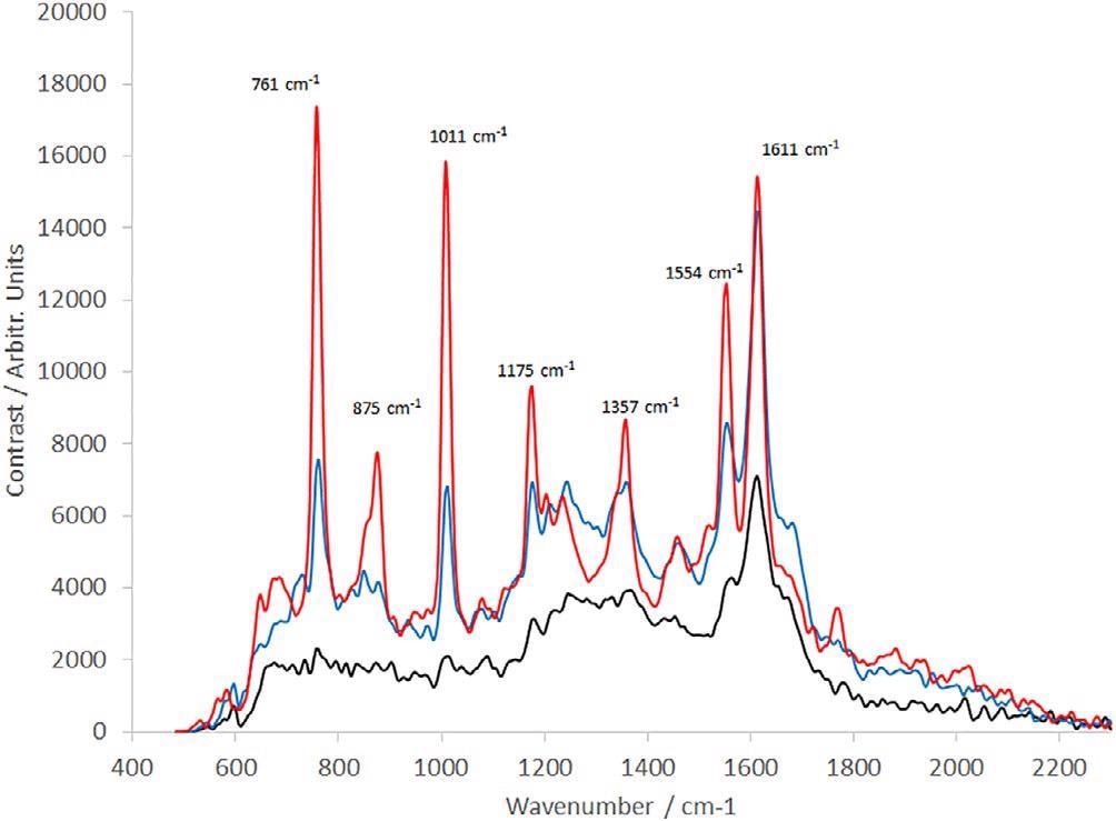 Raman spectra of IgG (30-s integration time, average of 10 frames). Solid black line: IgG is measured in static configuration; dotted black line: IgG measured with sample rotating during the observation; red line: IgG measured with a complex motion applied using a rotation and linear stage. IgG, immunoglobulin G.