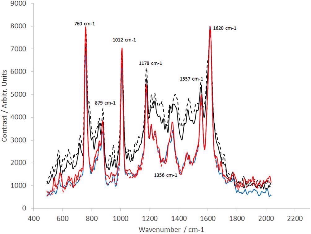 Raman spectra of dAb (sample provided by the TESTA Center, Cytiva Life Sciences) taken from five different stages of the manufacturing process (Table 1): dotted black line (sample position 1), solid black line (sample position 2), blue line (sample position 3), dotted red line (sample position 4), and solid red line (sample position 5). dAb, domain antibody.