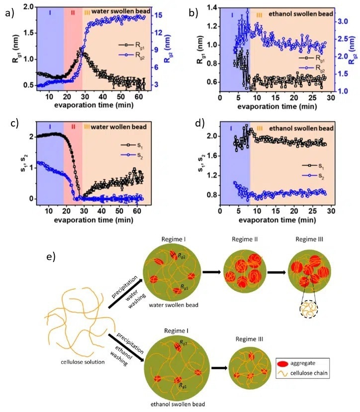 (a)-(d) Evolution of two characteristic length scales (Rg1 and Rg2) and two dimensionality parameters (s1 and s2) as a function of drying time and nonsolvent. (e) Graphical illustration of the structural evolution during nonsolvent evaporation.