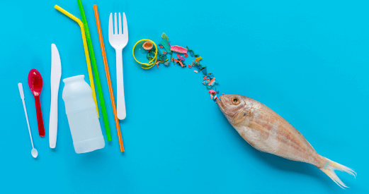 Monitoring Microplastics in the Ocean with Raman Spectroscopy
