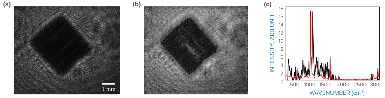 (a) Raw and (b) reconstructed images of a PS pellet. (c) Raman spectrum of a PS pellet taken using the setup (black) and reference sample in air (red). The sample peak at 1067 cm-¹ was attributed to AI2O3.