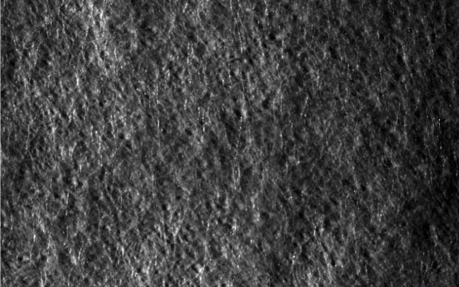 The Many Applications of Surface Topography