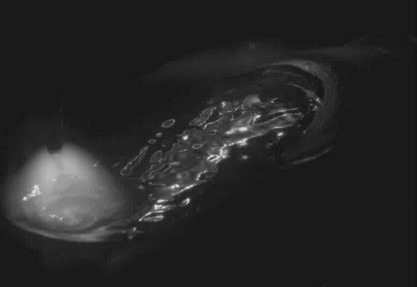 Indirect illumination using a reflective plate to highlight melt pool dynamics.