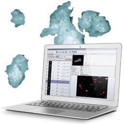 ParticleScout is an advanced tool for particle analysis with Raman