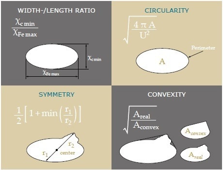 Selection of basic shape parameters (CAMSIZER X2).