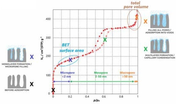 Graphic: Information obtainable from a sorption isotherm.