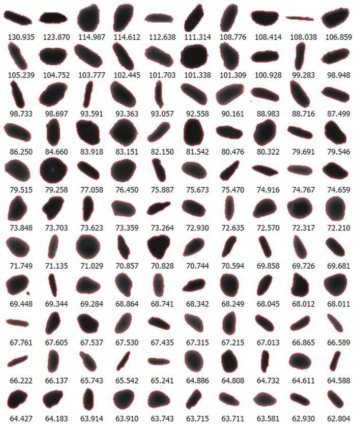 Image of some oversized particles in synthetic graphite sample.