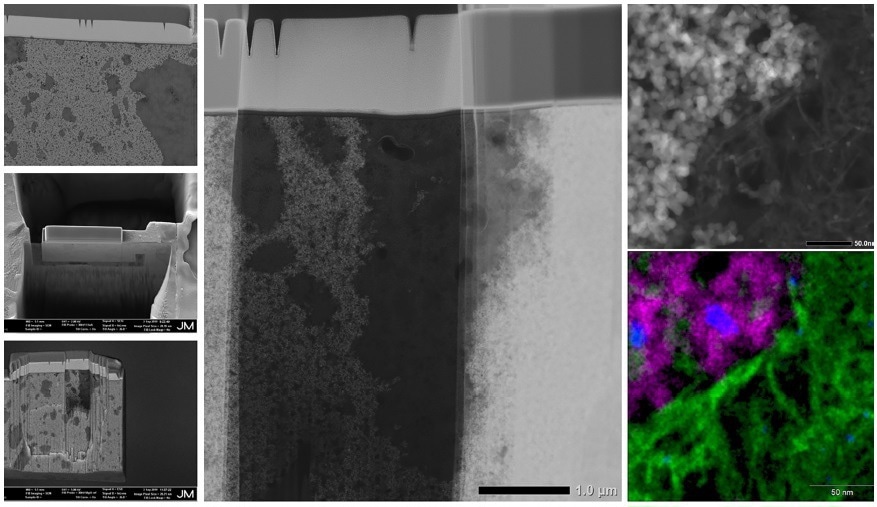 FIB based TEM lamella extracted using in situ lift out technique, the sample was imaged at different magnifications and various elements were mapped using EDX detector (green=Al,