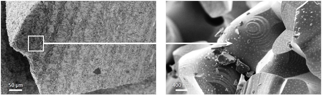 Non-anchored particles can be easily observed due to the stability provided by the GeminiSEM family magnetic clamp, rendering stage movement minimal and improving image quality.