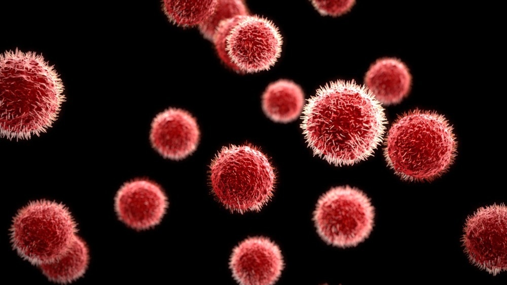 bacteria materials, biomaterials, bacteria in materials