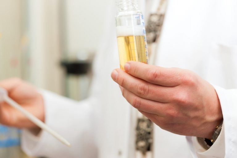 NIR Spectroscopy Analysis of Beer