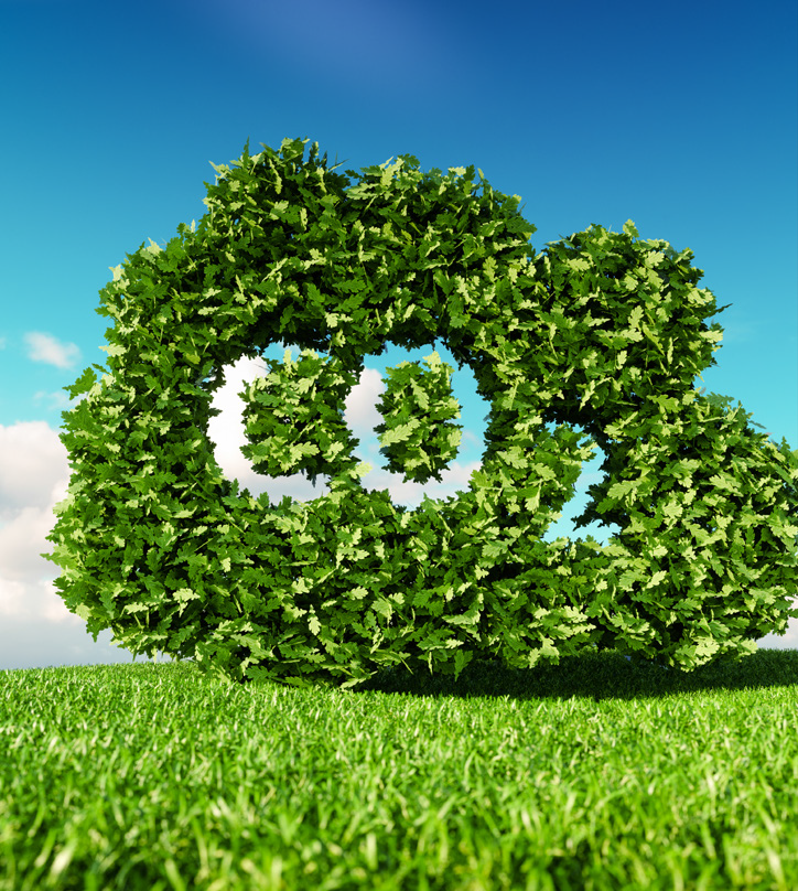 Induction Heating: A Green Technology