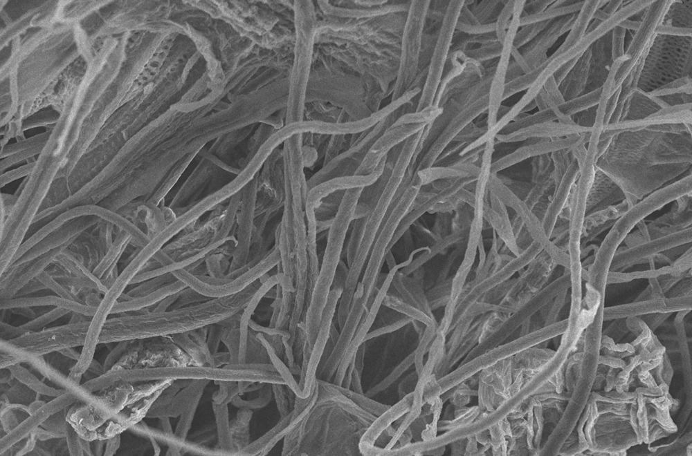 cellulose thermal conductivity, cellulose materials