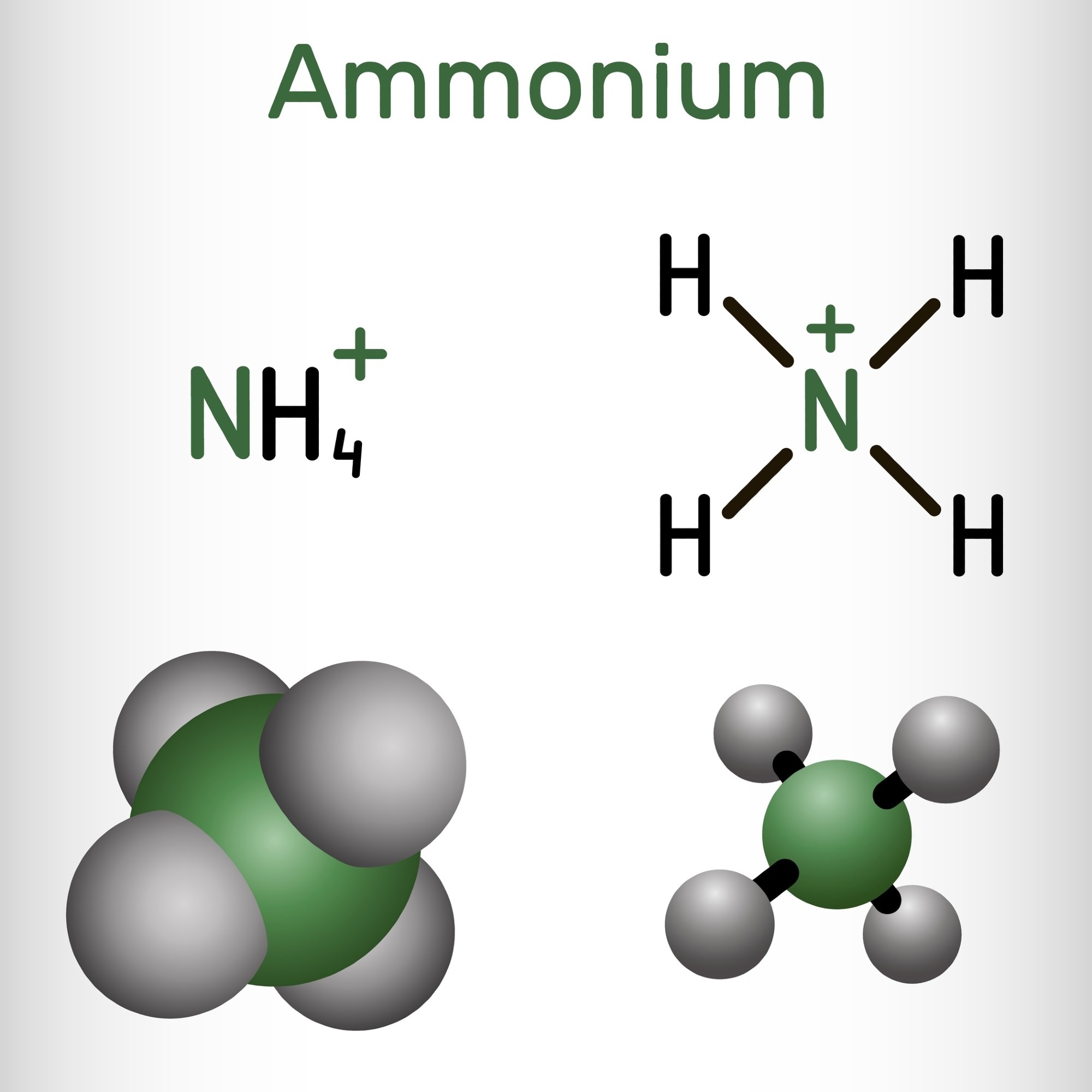 metal free batteries, ammonium batteries, ammonium cations