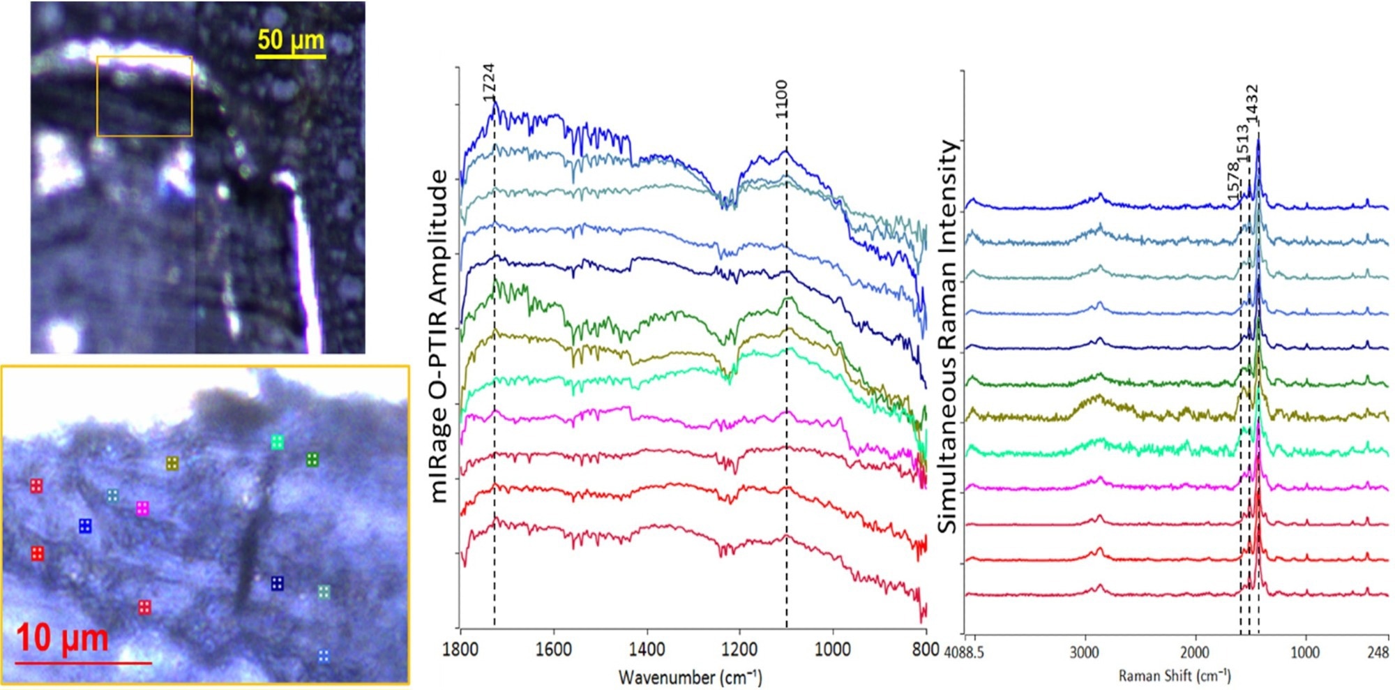 Cross-section analysis of organic dielectric in a failed capacitor (Zulkifli, 2022).