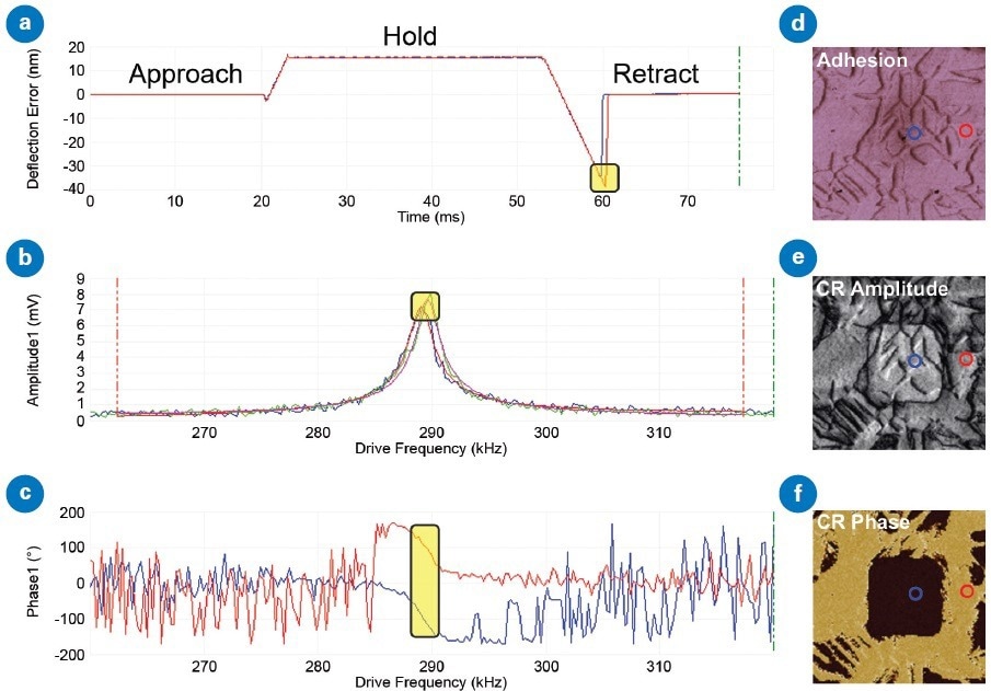 DataCube (DCUBE) CR-PFM of a PMN-PT ferroelectric sample: (a) Typical force vs. time plots showing 30 ms hold segments where frequency is swept and highlighted pull-off points for adhesion map, (b) PFM Amplitude spectra from hold segment and Lorentzian fits used to calculate CR Amplitude (peaks highlighted), Frequency, and Q, (c) PFM Phase spectra used to determine CR Phase (region of CR highlighted), (d) Adhesion map with approximate locations of curves in (a), (e) CR Amplitude map with locations of curves in (b), and (f) CR Phase map with locations of curves in (c).
