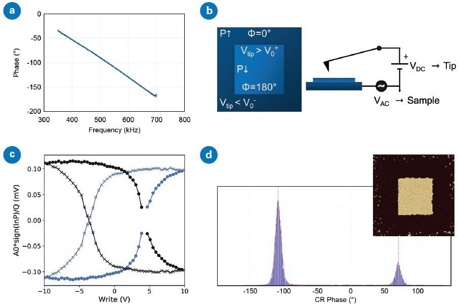 Compensating for instrumental phase shifts: (a) the measured phase from the lock-in depends approximately linearly on frequency, with a phase shift of about -4 deg/kHz, (b) domain polarization and expected phase after applying negative and positive DC tip voltages to pole concentric domains in a ferroelectric sample with known positive electrostrictive coefficient, (c) if this phase shift is not compensated, the direction of ferroelectric hysteresis loops may be inverted when probes of different frequencies are used, and (d) histogram of phase data from a DCUBE CR-PFM map (inset) after poling with pattern in (b) has peaks at -109° (outer domain) and +71°.