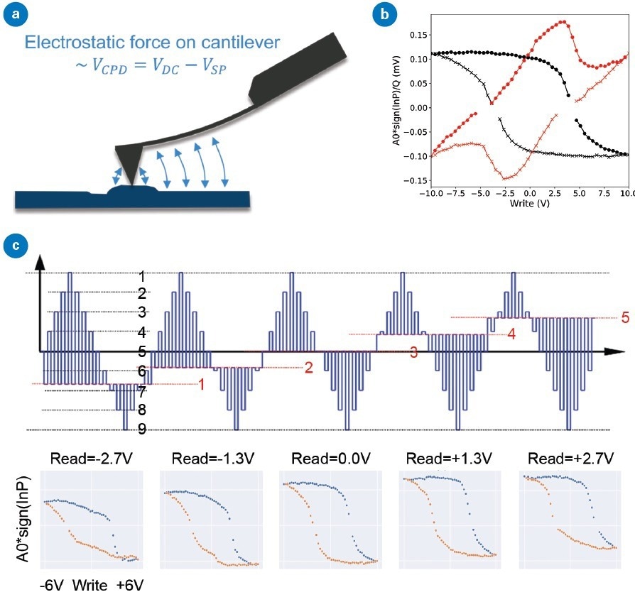 Understanding the influence of electrostatics on the PFM response: (a) the electrostatic force on the cantilever is proportional to the contact potential difference or the difference between the applied voltage (VDC) and the surface potential (VSP), (b) comparing PFM hysteresis loops collected during read segments (black) and write segments (red) can be used to discriminate between ferroelectric and non-ferroelectric materials, and (c) by measuring SS-PFM hysteresis loops (bottom) at different read voltages (top) it is possible to directly study the influence of varying contact potential difference on PFM measurements.