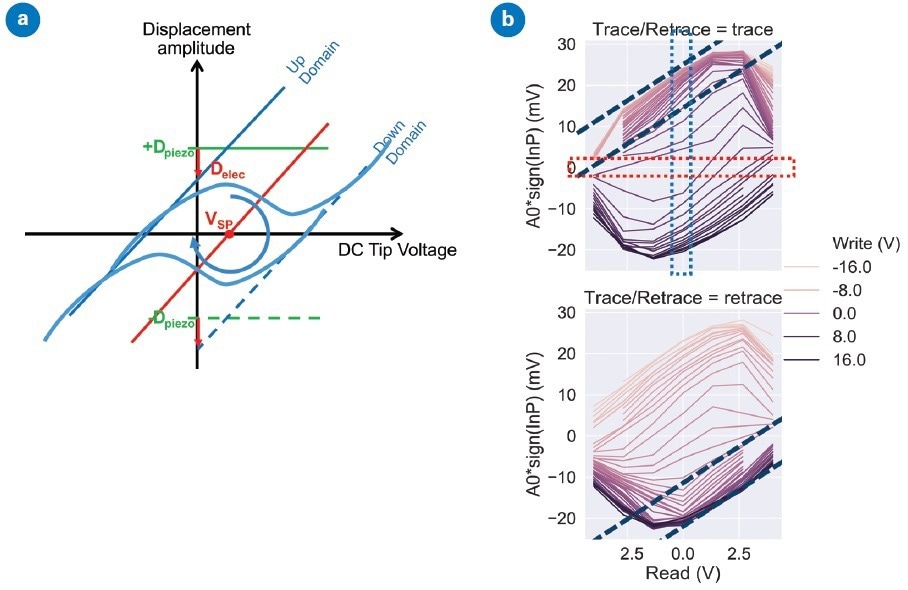 PFM response with applied bias on ferroelectric samples: (a) schematic of ferroelectric hysteresis without electrostatics (green), with electrostatics on a non-ferroelectric sample (red), and with both electrostatics and ferroelectric behavior (blue). (b) cKPFM plots from a ferroelectric material at different write voltages. The dashed black lines indicate the electrostatic response in the part of the hysteresis curve where the ferroelectric response of the sample is saturated. If the sample were an ideal dielectric, the red dashed box would indicate the surface potential for the sample which changes from one write voltage to the next due to charge injection from the tip. The blue dashed box indicates the PFM response for the off-field hysteresis loop. Data is from a PZT sample with DC voltage applied to tip, AC to sample.