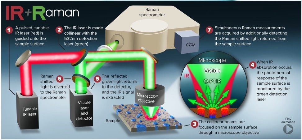 Schematic representation of the beam paths for the generation of simultaneous IR and Raman spectra.