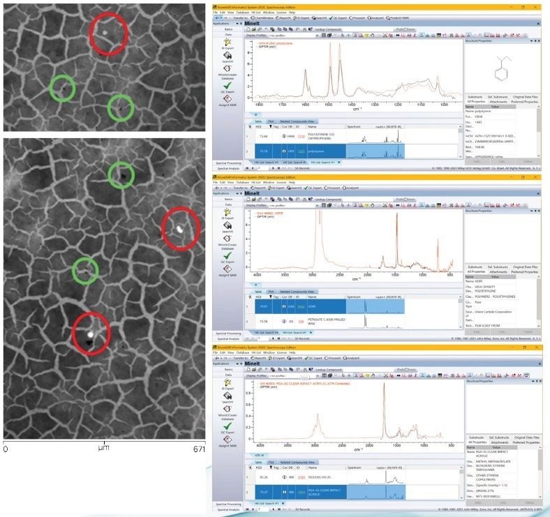 Left, Two areas of fluorescence image (Nile red stained) acquired using a GFP filter cube with excitation at 497 nm and emission at 535 nm. Right, Wiley KnowItAll database search results identifying each of the particles identified by imaging.