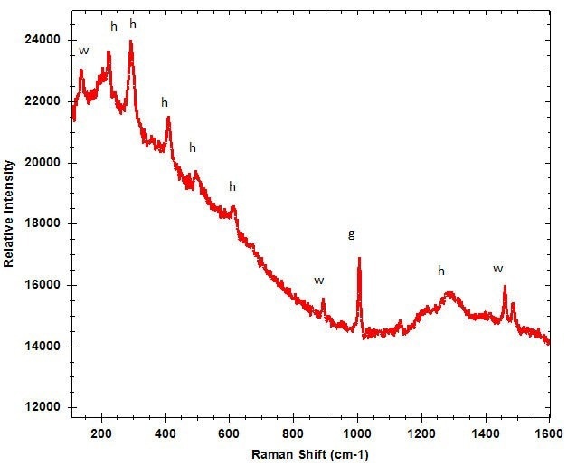 Raman spectrum of cave rock art measured in situ in daylight with peaks of the pigment haematite (h) and accretions of gypsum (g) and whewellite (w).