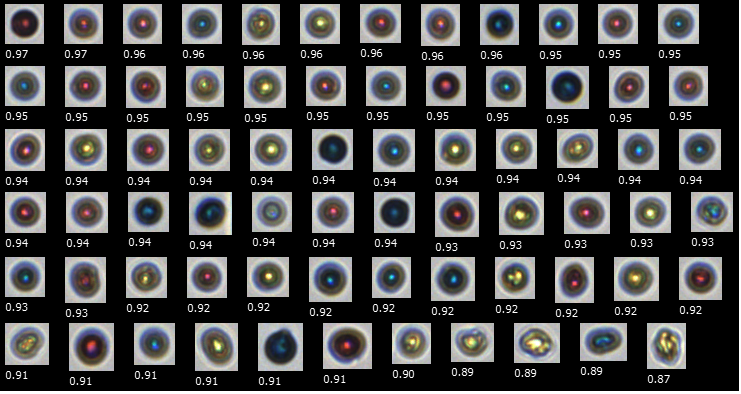 FlowCam images of color printer toner particles. Particles are shown in order of decreasing circularity, where 1 is a perfect circle