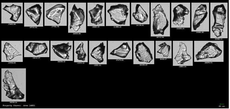 FlowCam images of zeolite particles