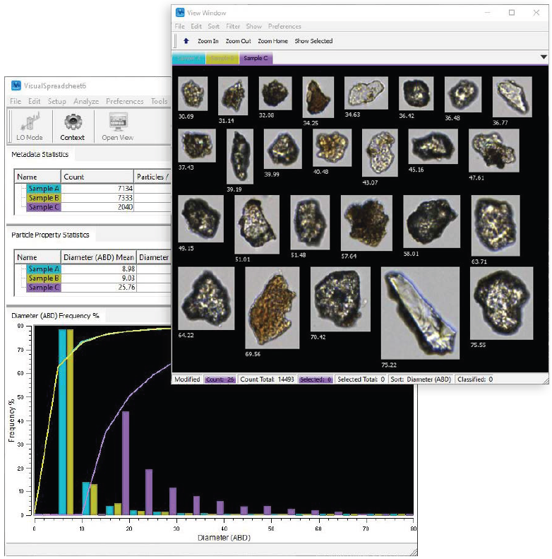 VisualSpreadsheet user interface showing particle data and images of various particle types in a heterogeneous sample