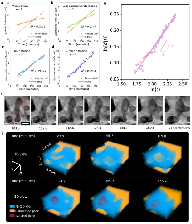 This figure displays molten salt dealloying (MSD) and a direct observation of enclosed void formation