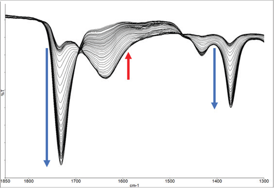 Expanded region showing increase and decrease of spectral bands during the experiment.