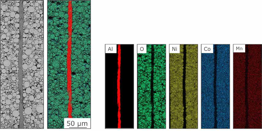 The EDX results for the cathode foil