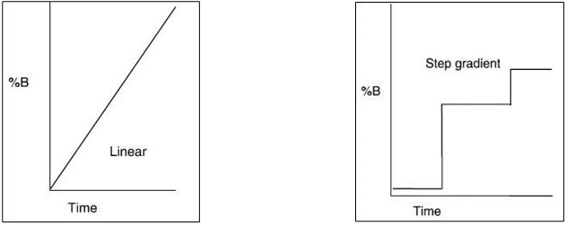 What is the Correct Way to Step Gradients?