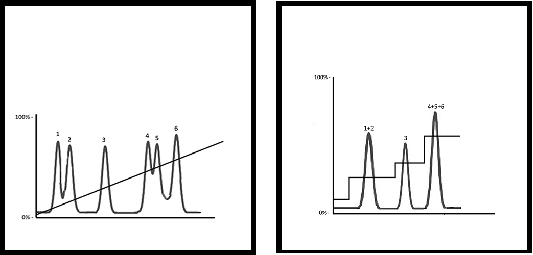 What is the Correct Way to Step Gradients?