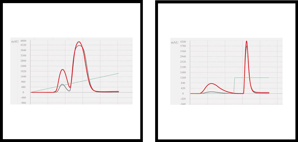 What is the Correct Way to Step Gradients?