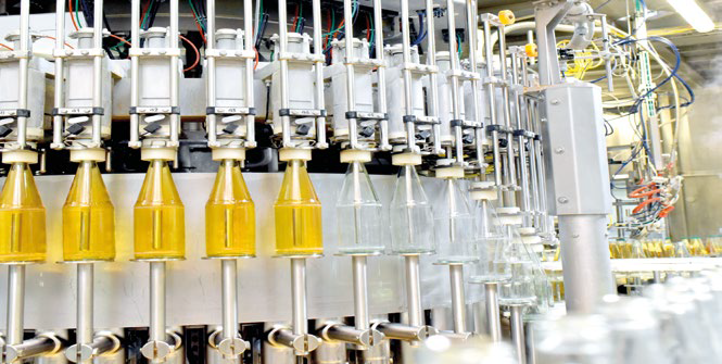 Ensuring Purity and Hygiene in Food Production