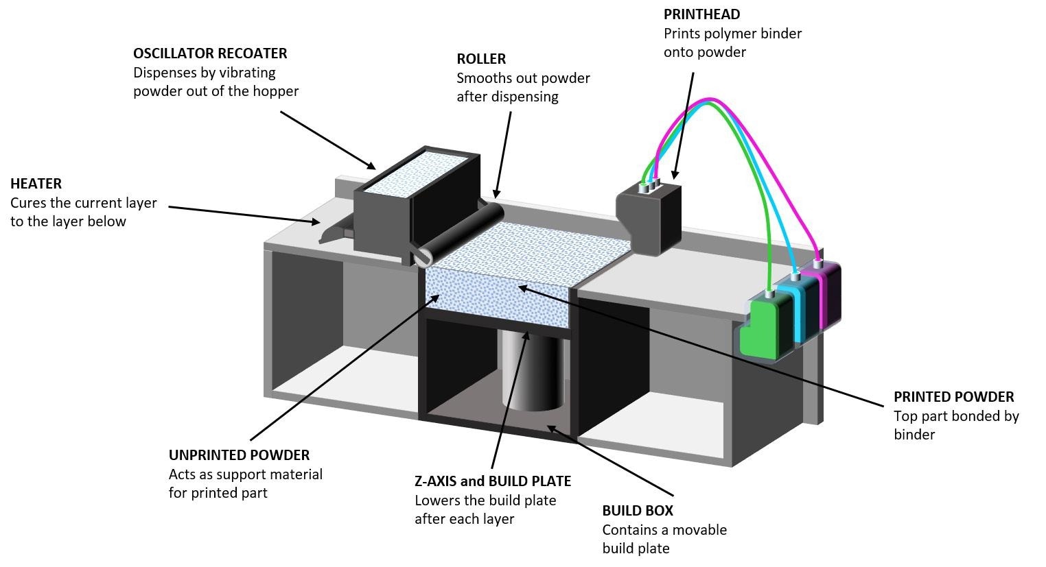 In BJ processes successive layers of powders are selectively bound together with a binder solution released from the printhead.