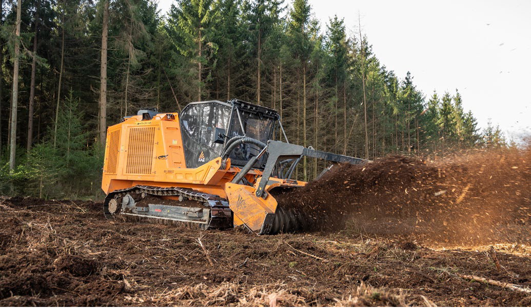 Exploring Forestry Solutions in Agriculture