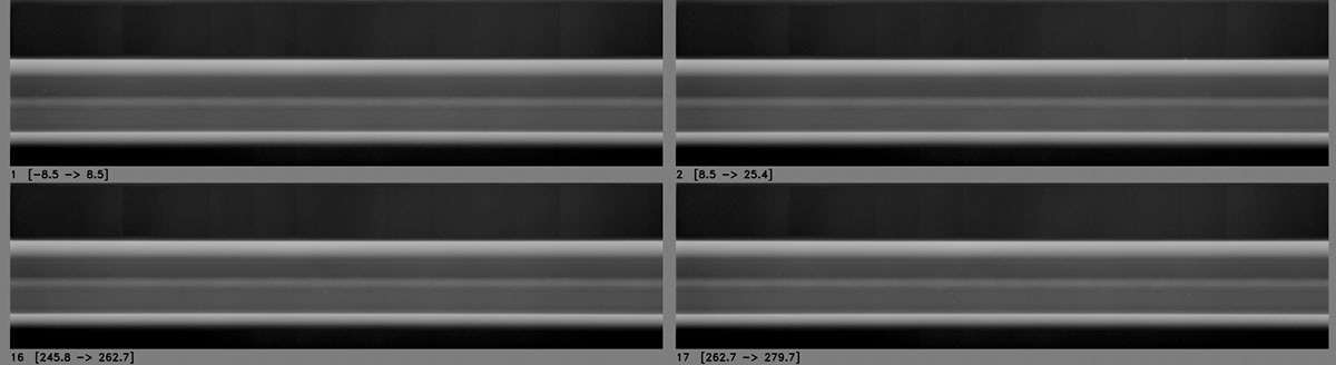 Enlarged view of 4 segments (ID and segment position also shown).