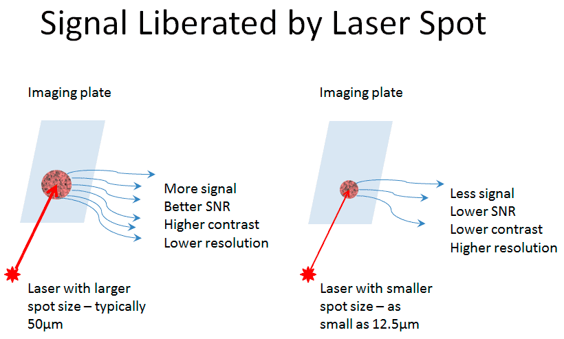 Does Laser Spot Size Impact CR System Image Quality?