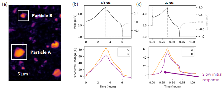 (a) two example active particles, Particle A and Particle B; (b) voltage-time plot and contrast trace for Particle A and Particle B under C/3 (3 hours) charging rate; (c) voltage-time plot and contrast trace for Particle A and Particle B under 2C (30 minutes) charging rate. Clear heterogeneity in (de)lithiation rate between the two particles is observed at the faster charging rate.