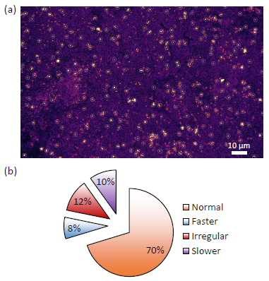 (a) charge photometry image taken with a wide field of view; (b) particle delithiation rate characterization.
