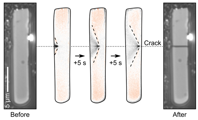 sequence of images showing the real-time observation of a particle cracking using charge photometry.