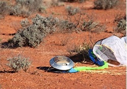 Capsule that successfully returned to Earth