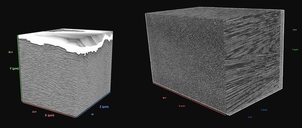 3D FIB-SEM tomography reconstruction of the Argonata hians shell sample. a) Smaller reconstructed volume 26x25x29 µm3 b) Larger volume 49x 32x32 µm3. (The Argonauta hians specimen is courtesy of Prof. Antonio Checa, University of Granada, Spain.).