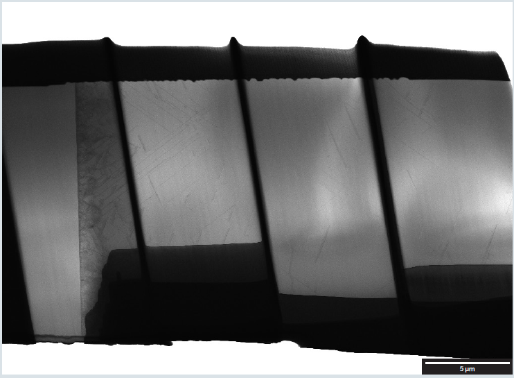 STEM bright field overview image acquired at 30 keV using TESCAN’s HADF R-STEM detector in FIB-SEM