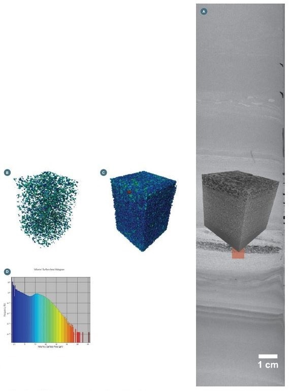 (A) Cross-section through the 40 µm scan with indication of the VOI scanned with 10 µm resolution; (B) Grains showing an orientation with Phi> 90°; (C) Grain size distribution with small grains (in blue), and large grains (in red); (D) Volume/surface area histogram for all the grains.