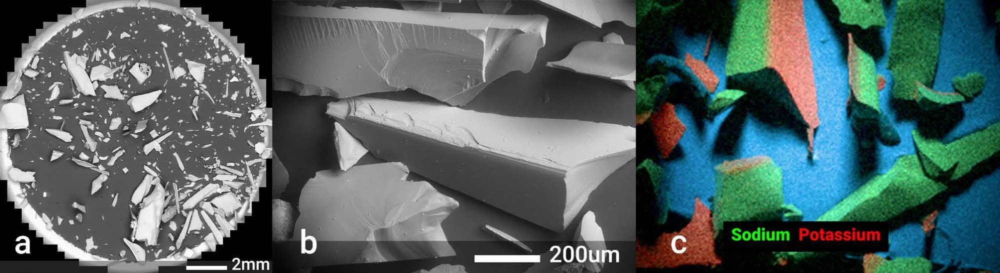 Imaging & mapping of particles from the iPhone. (a) Panorama backscatter electron image of a 12.5mm stub used to collect particles liberated from the iPhone cover, stitched from 1167 automatically acquired image tiles at 20kV, 16mm WD & 20Pa. (b) Depth mode variable pressure backscatter electron image acquired at 20kV, 15mm WD & 20Pa of a single particle that shows both the top surface and the bulk areas of the glass. (c) EDS x-ray map showing particles randomly oriented, including the particle showing both top and side surfaces.