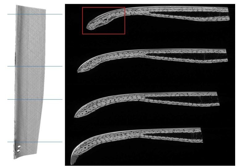 Exploring Materials with SEM-EDX Analysis and 3D Imaging: Insights into Surface Composition and Distribution